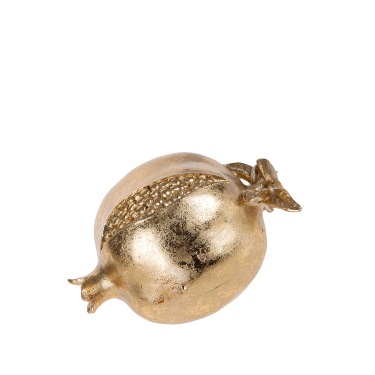 Melograno 11 cm con Foglia