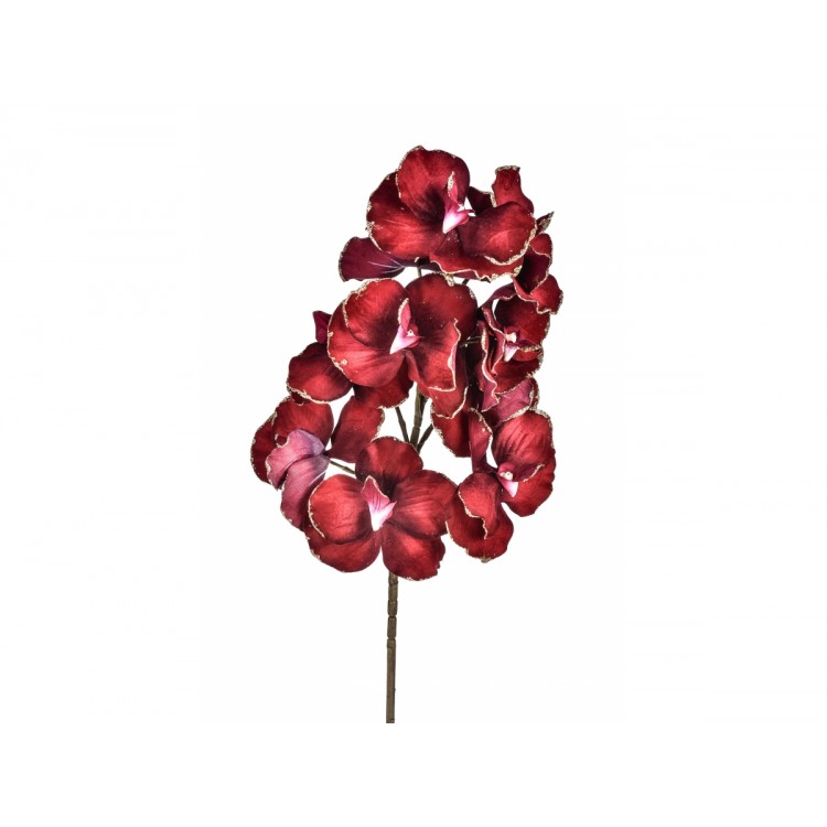 Orchidea Vanda con glitter